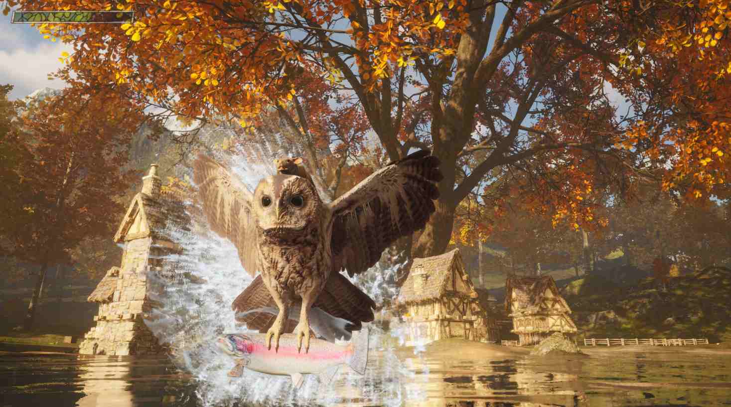 Hawthorn Release Date & Official Trailer